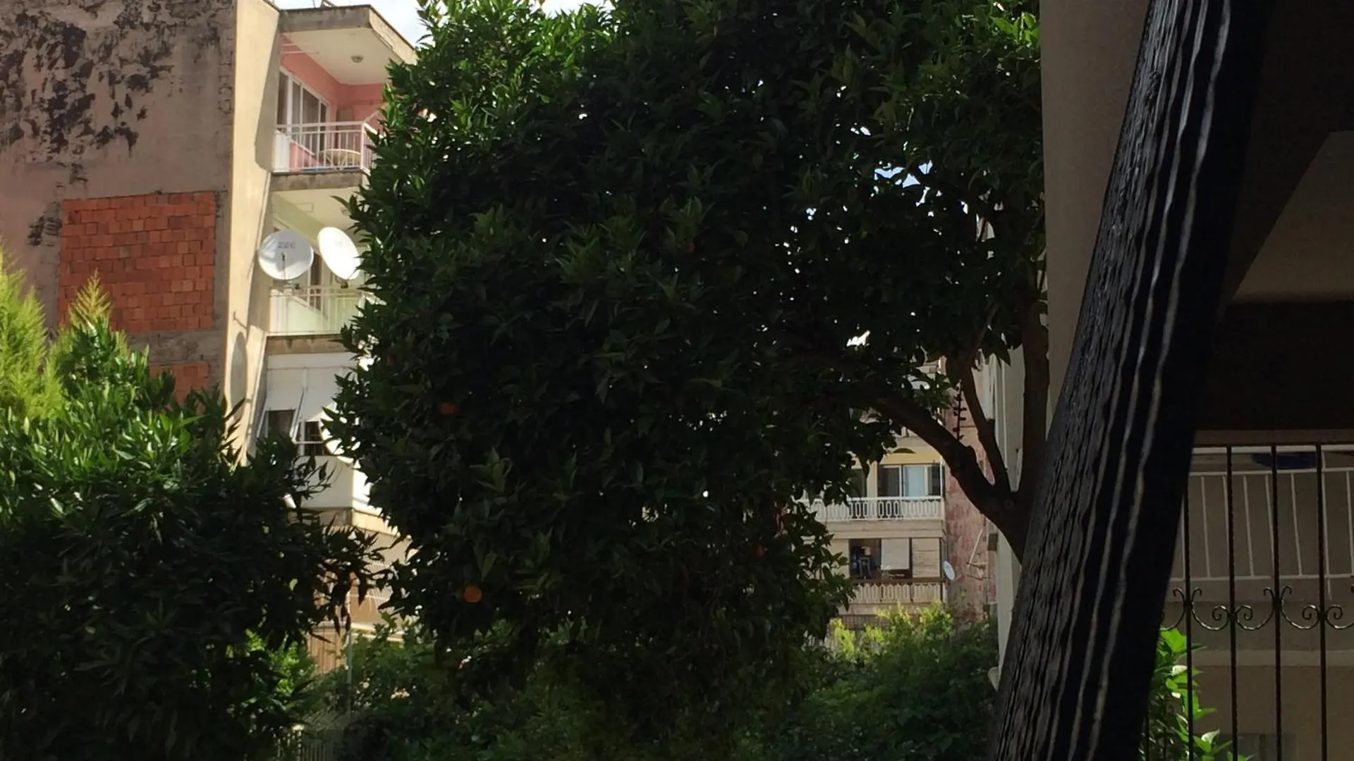 Konakli Apartments Izmir contacts